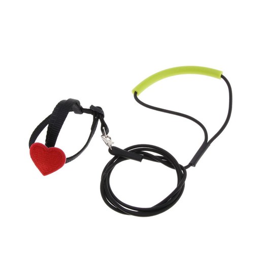Bird parrot harness leash - bird,