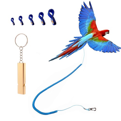 Parrot bird harness - bird, leash