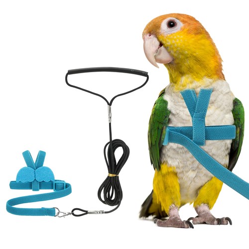 Bird harness leash pet parrot - leash,